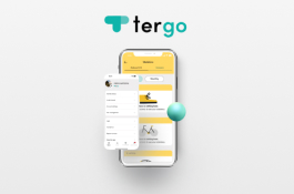 TerGo: app for real-time counting of CO2 emissions